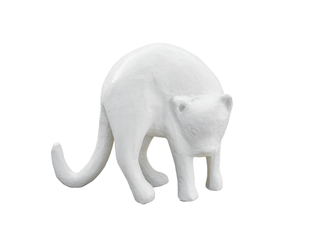 png cat plaster free photo