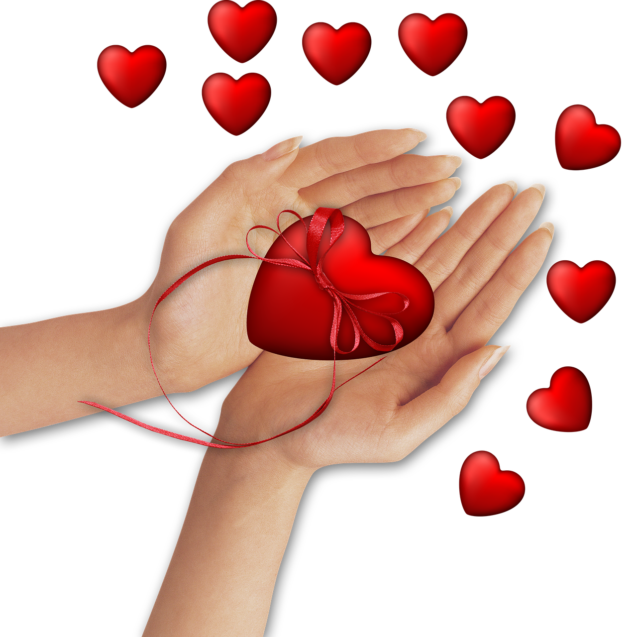png image hands heart free photo