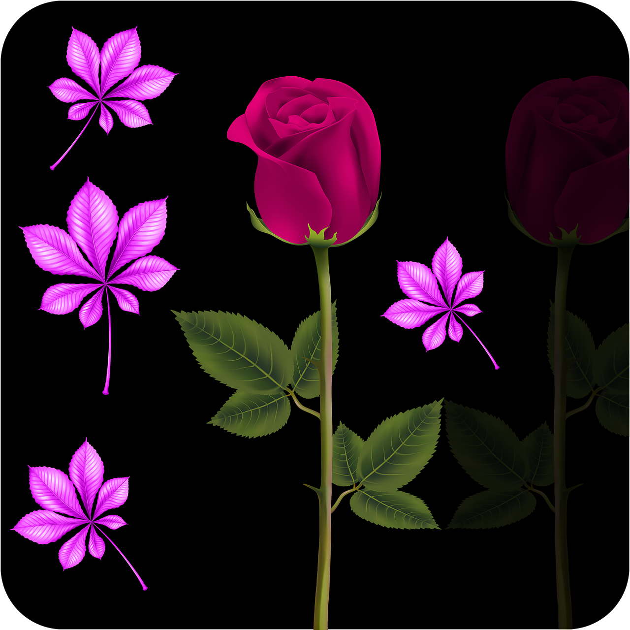 png image flower flowers free photo