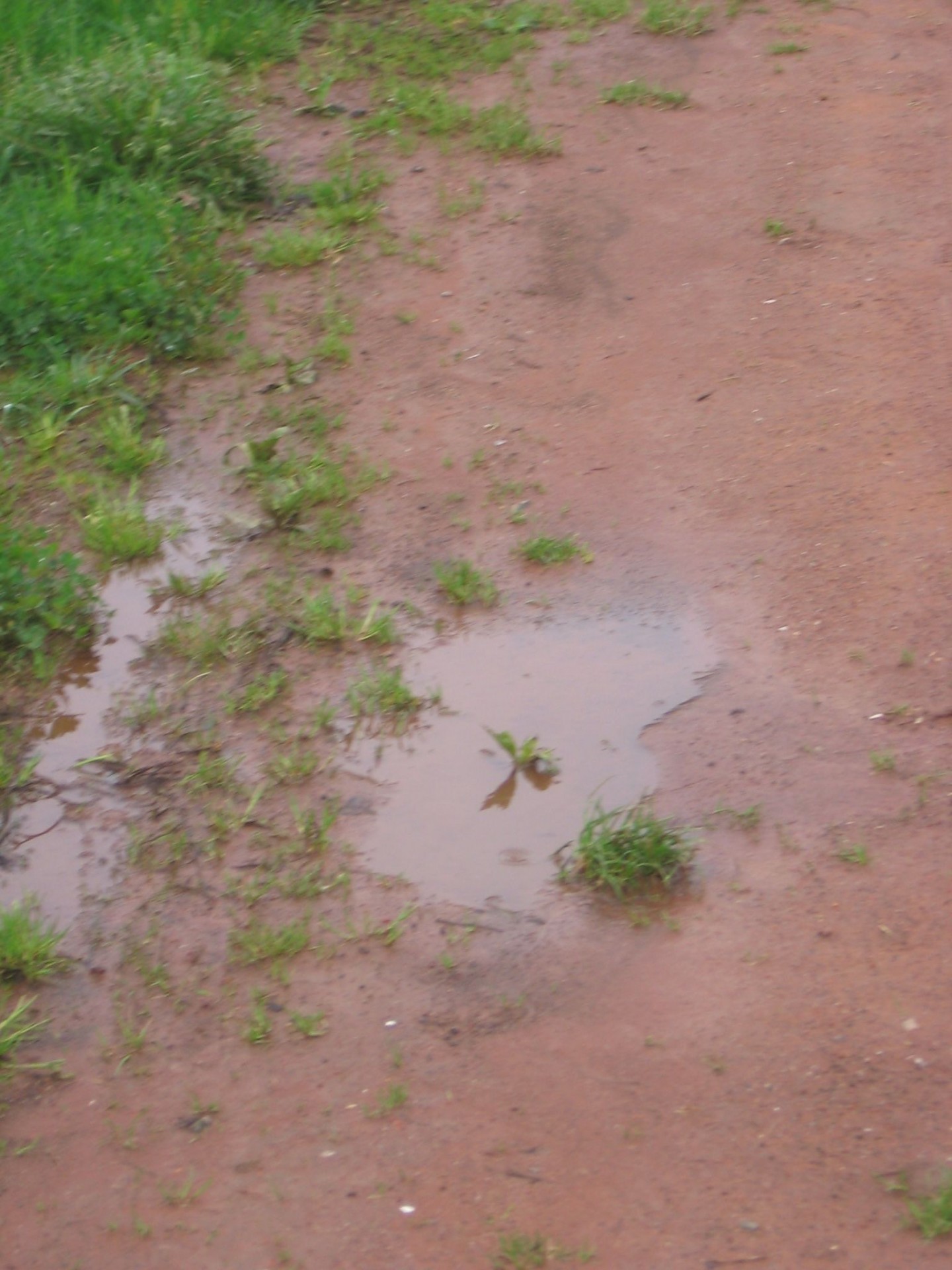 puddle rain after the rain free photo