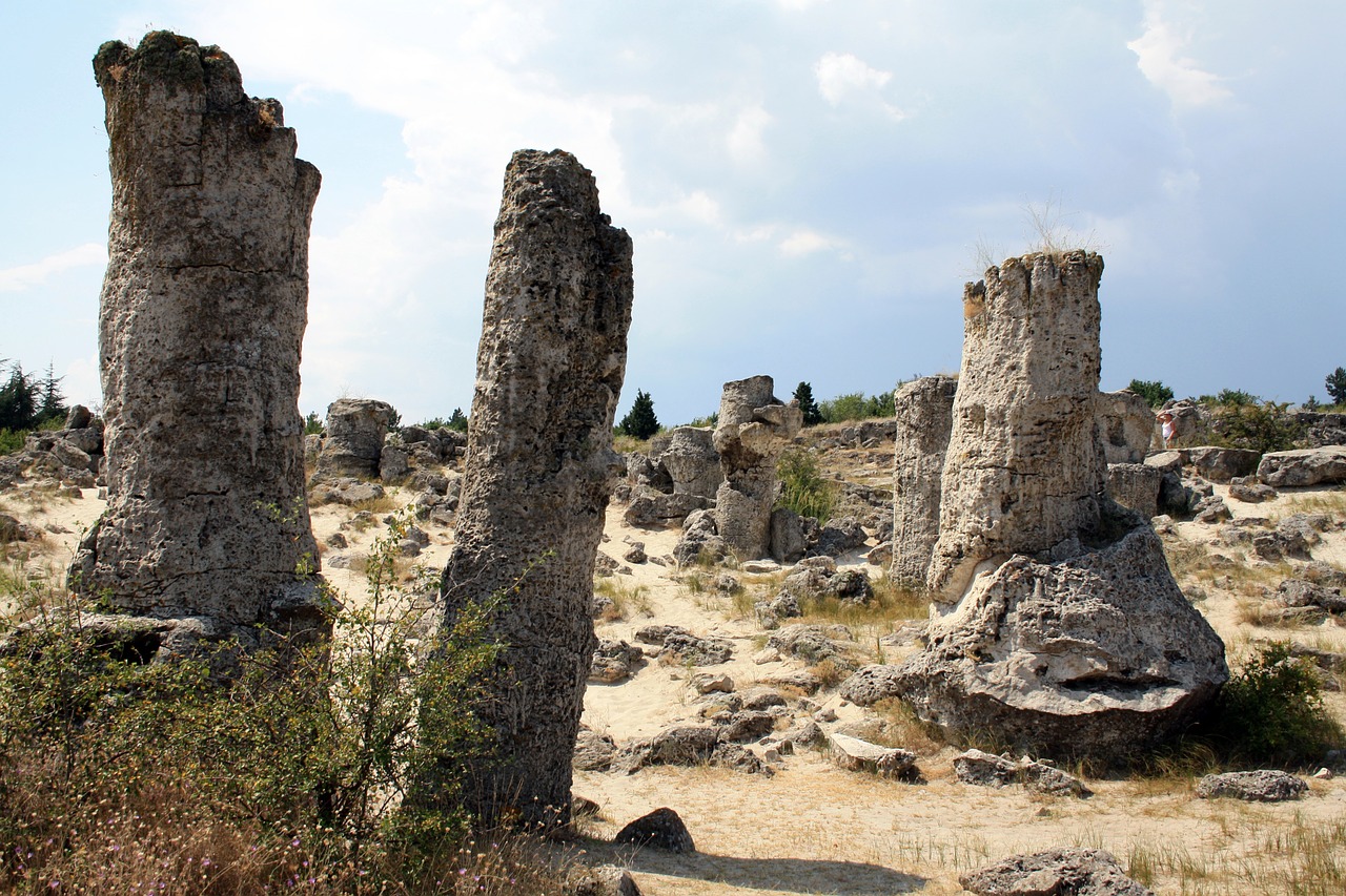 pobiti kamuni forest stone free photo