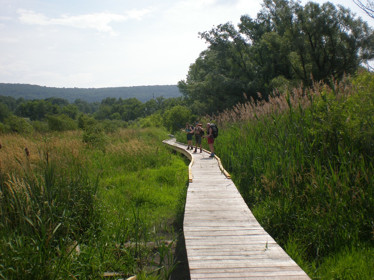 pochuck creek appalachian trail new jersey free photo