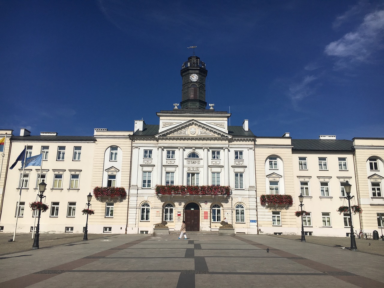 płock the town hall city ​​hall free photo