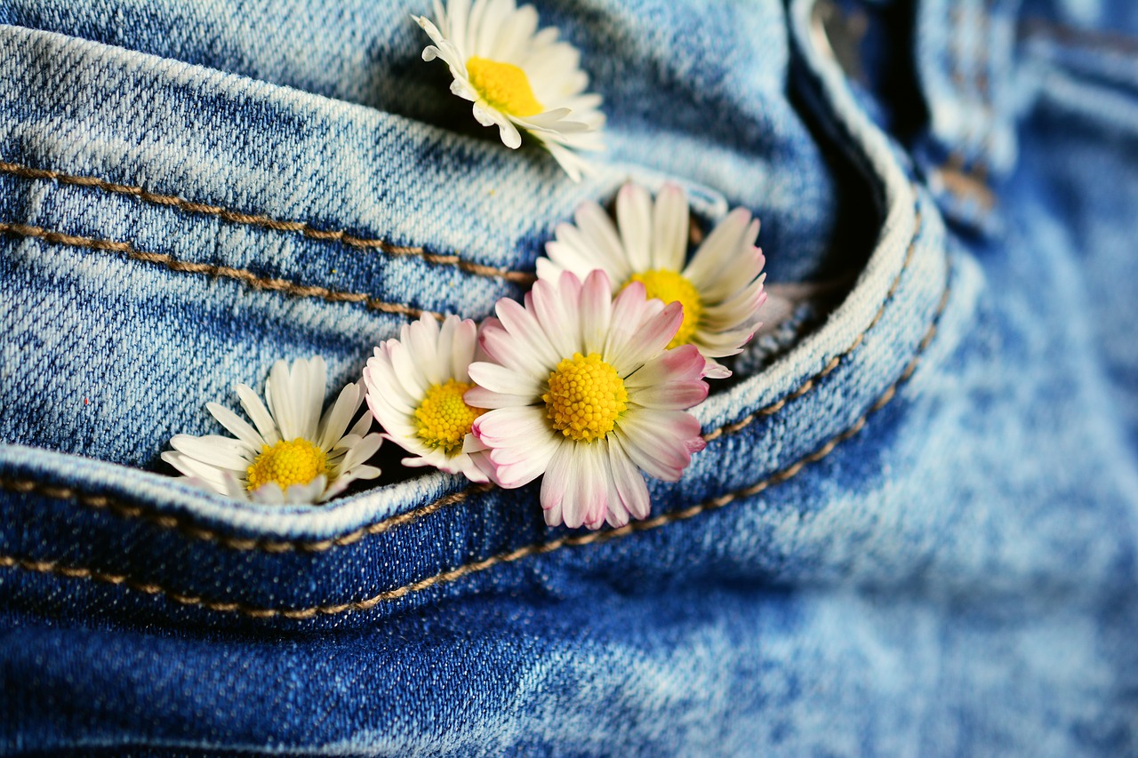pocket daisy jeans free photo