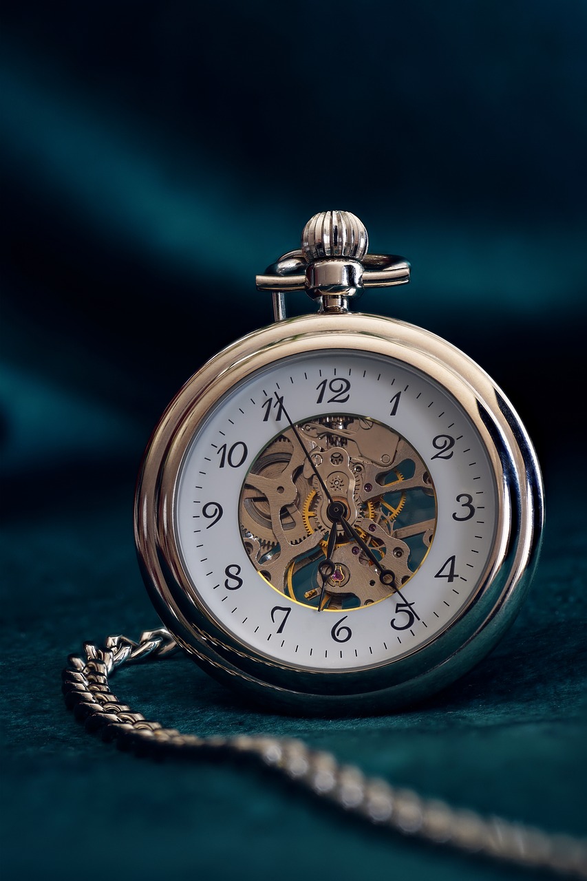 pocket watch  clock  time free photo