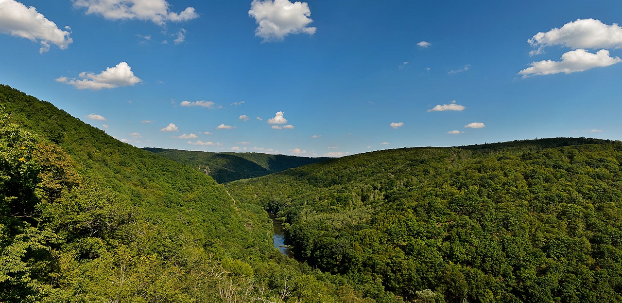 podyjí national park moravia green free photo