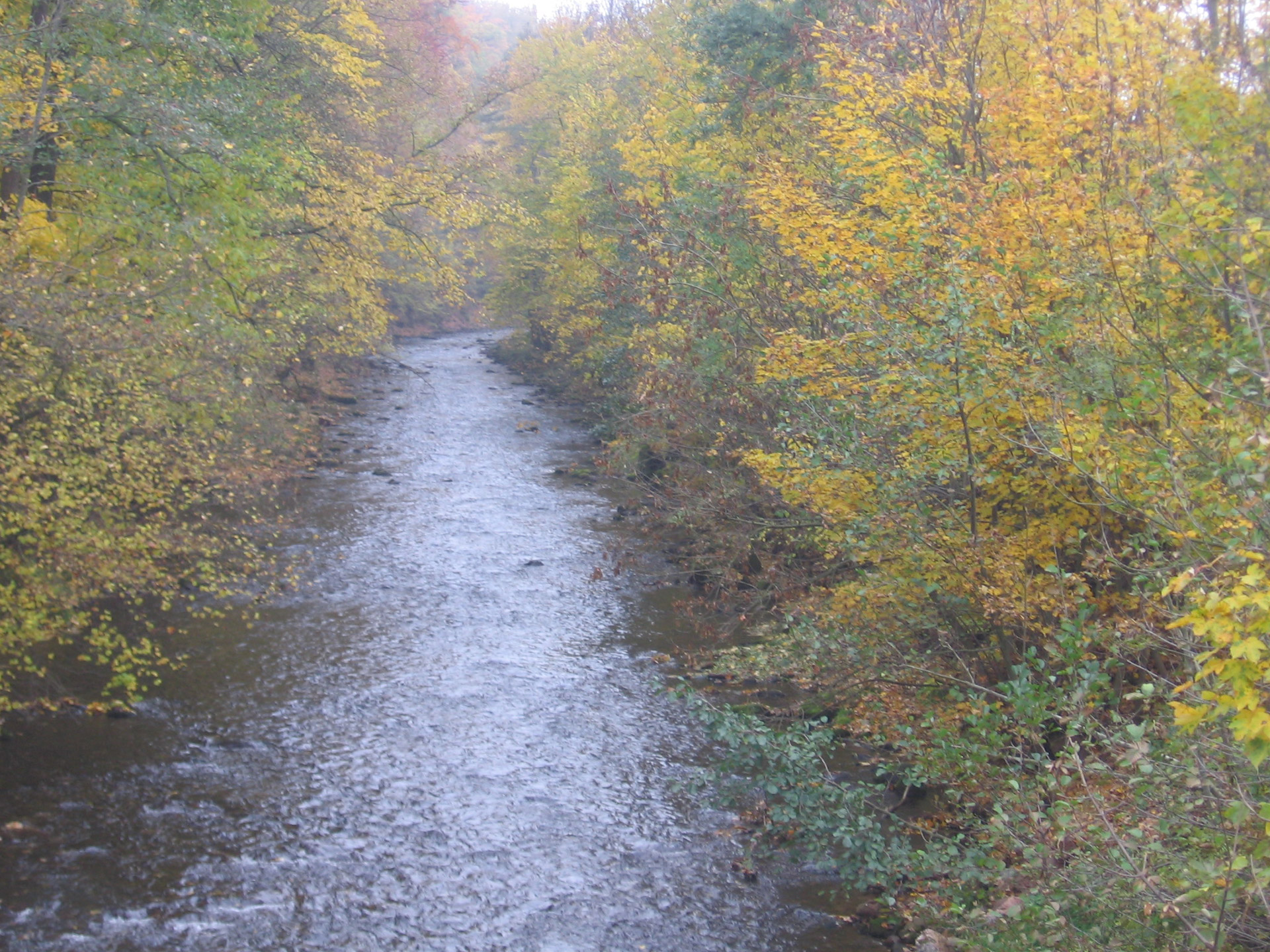 river autumn trees free photo