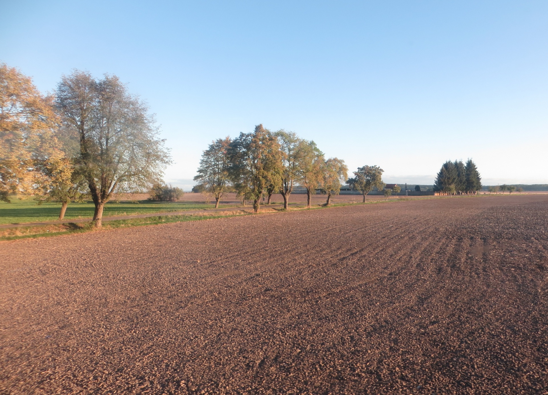 fall field landscape free photo