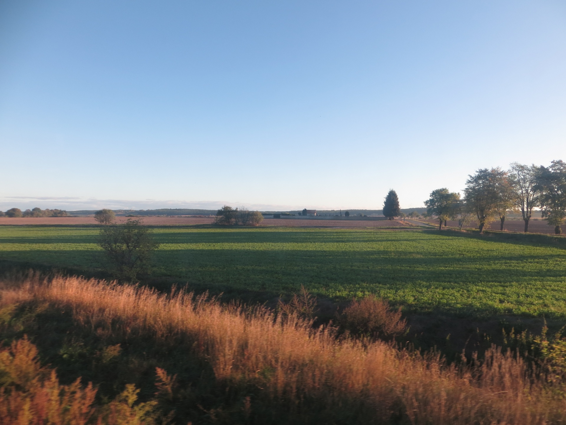 autumn field autumn landscape free photo