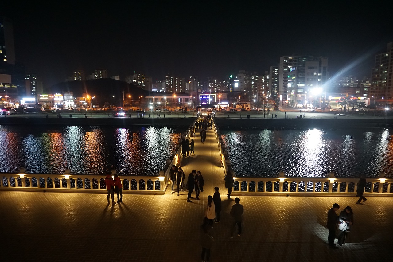 pohang night view landscape free photo
