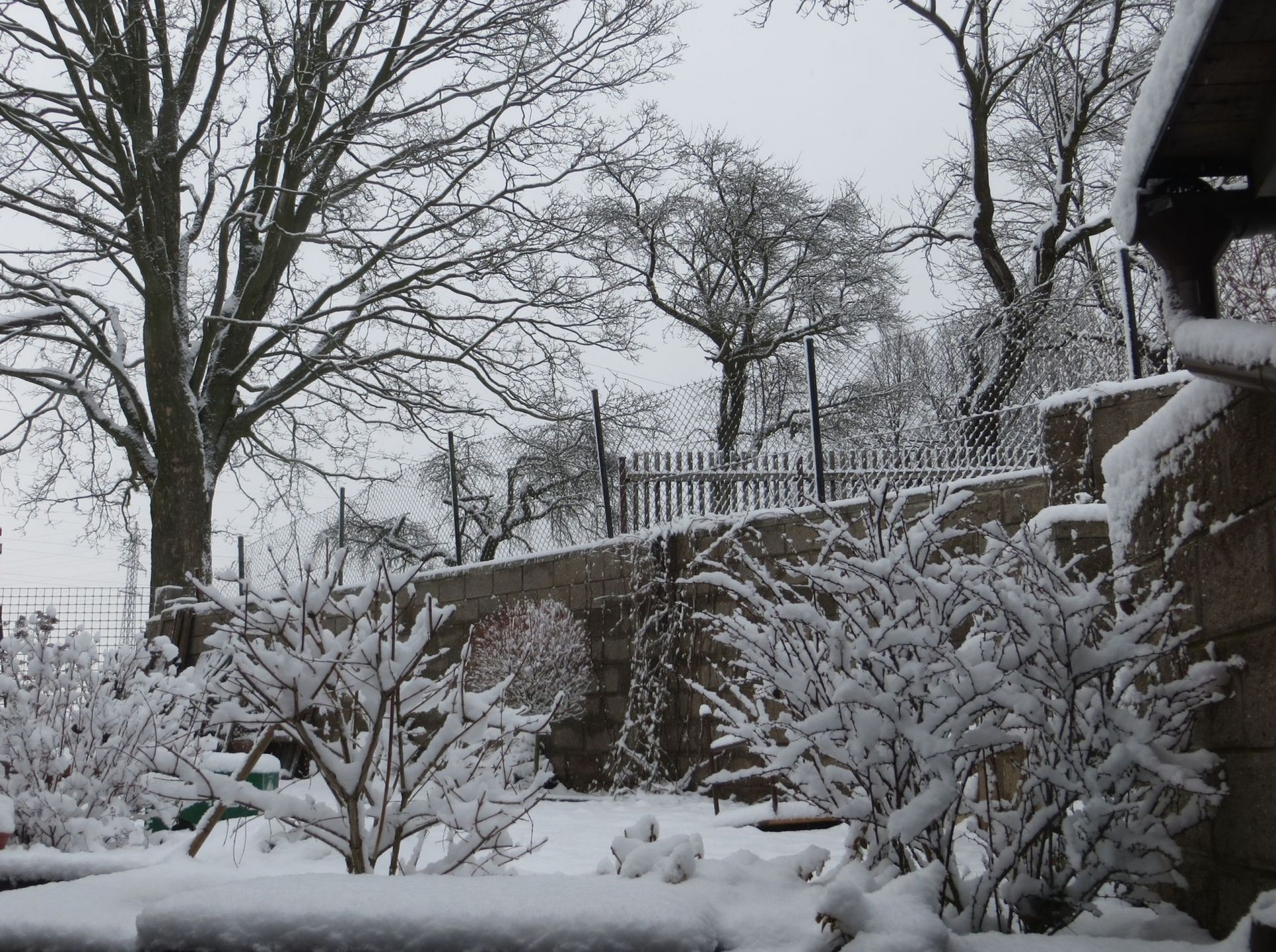 winter snow view from the window free photo