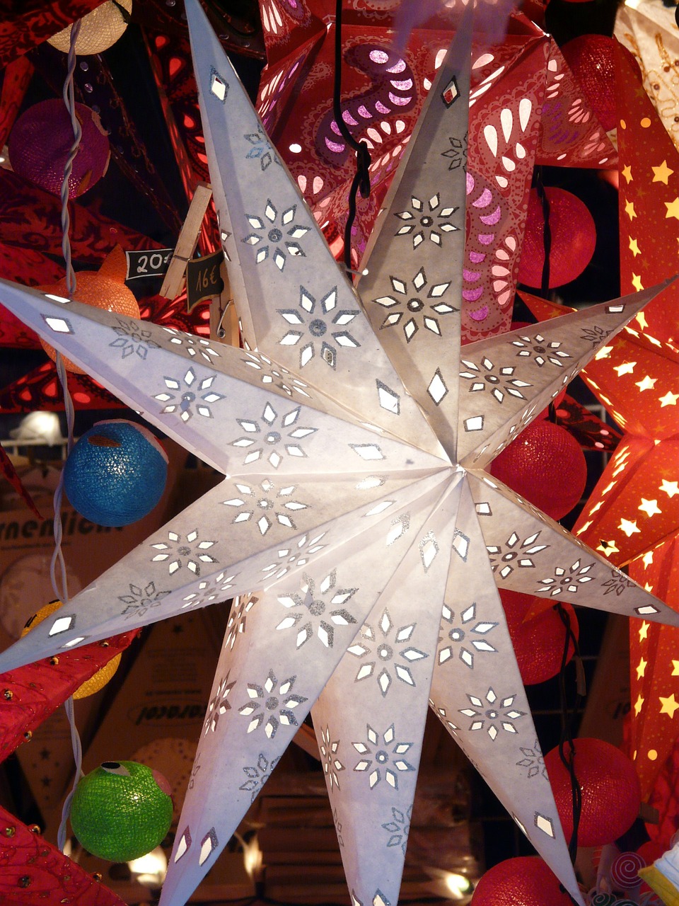 poinsettia christmas market star free photo