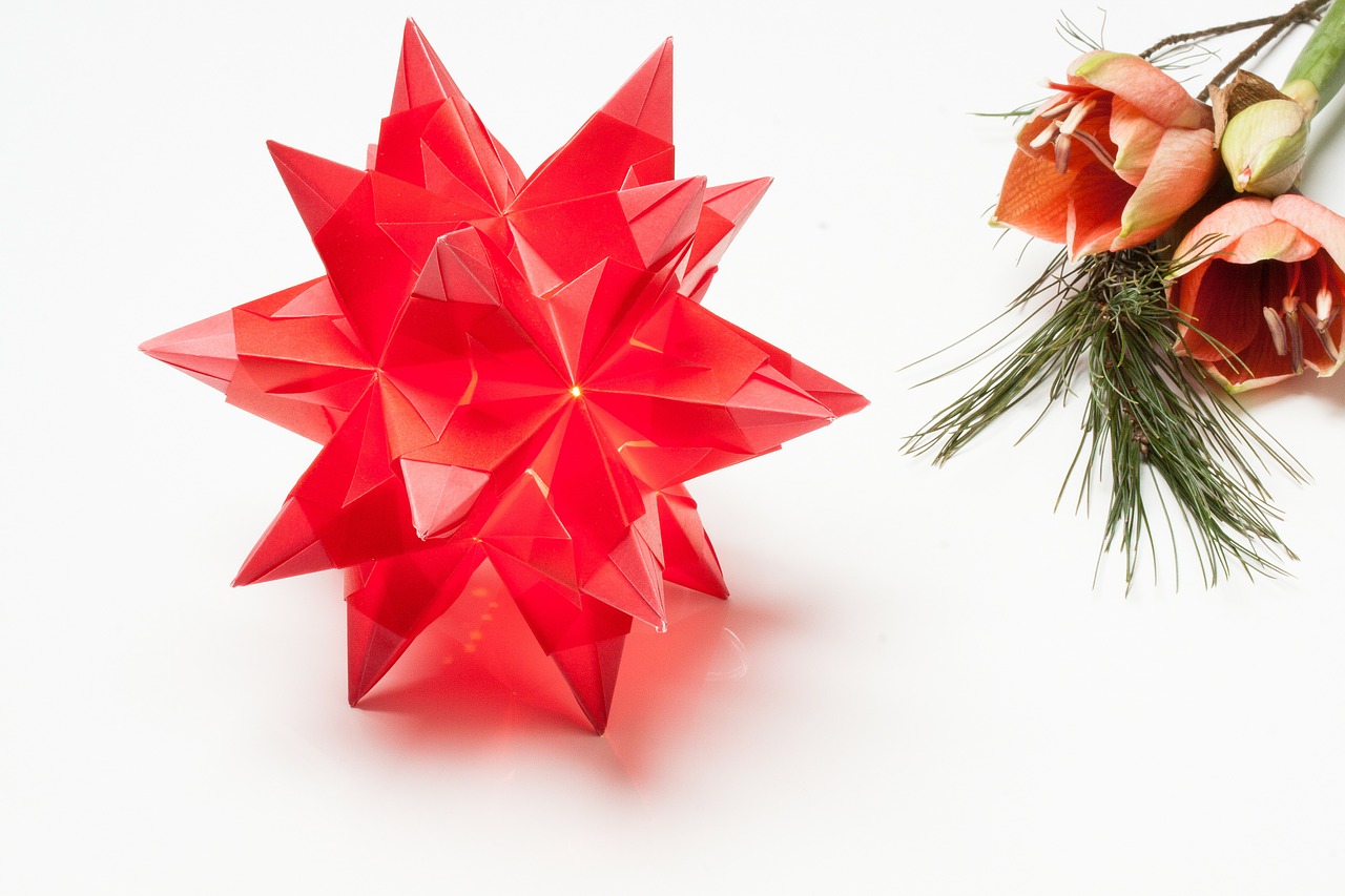 poinsettia origami art of paper folding free photo