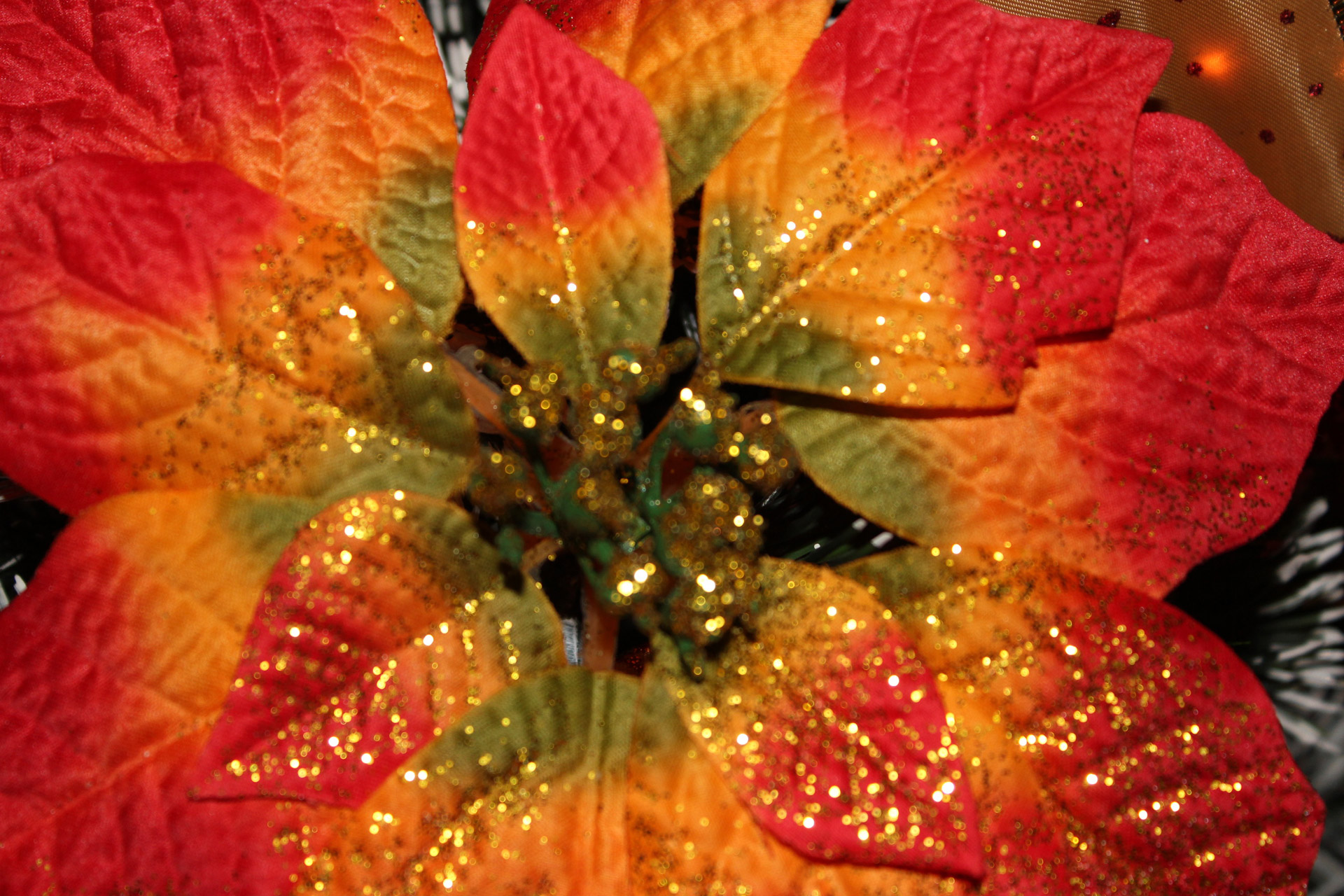 christmas decoration flower free photo