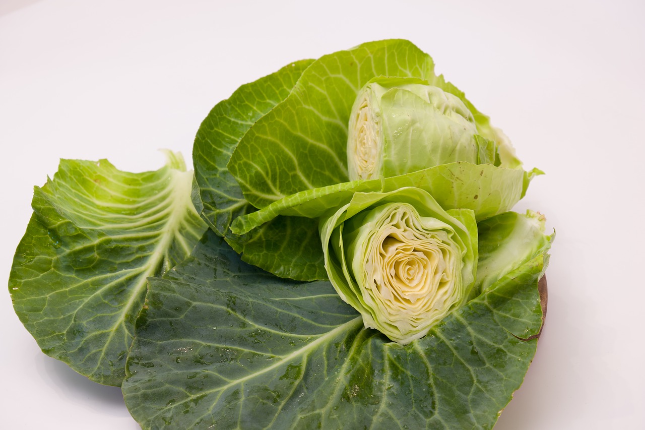 pointed cabbage  kohl  vegetables free photo