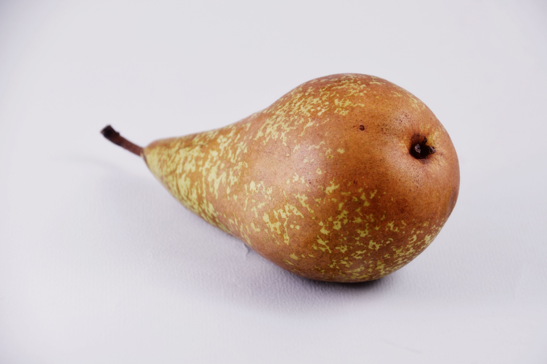 pear conference fruit free photo