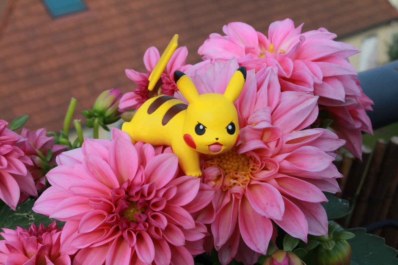 pokemon pikachu derivatives free photo