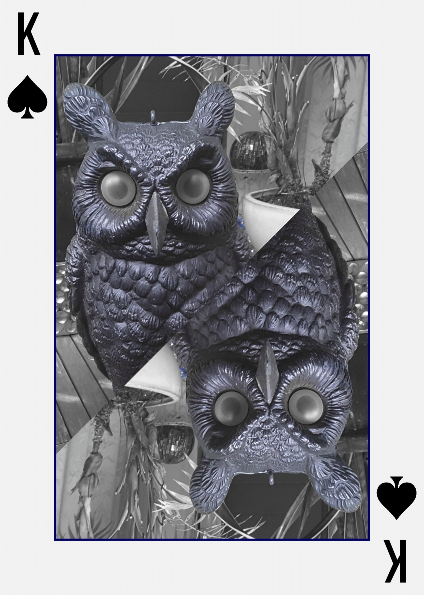 poker card owl free photo