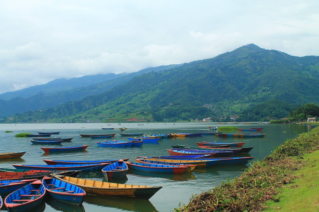 pokhara nepal boats free photo