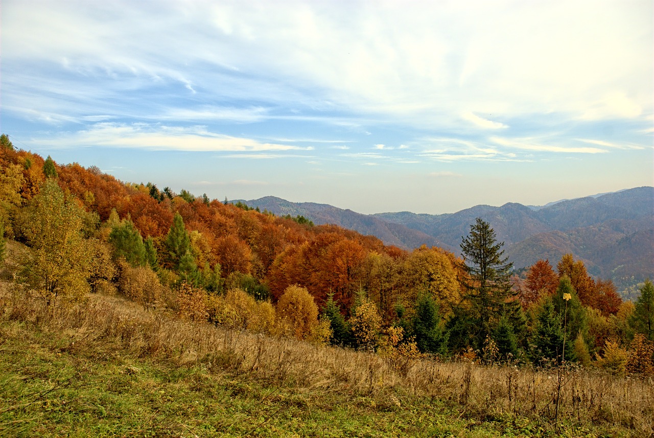 poland pieniny autumn free photo