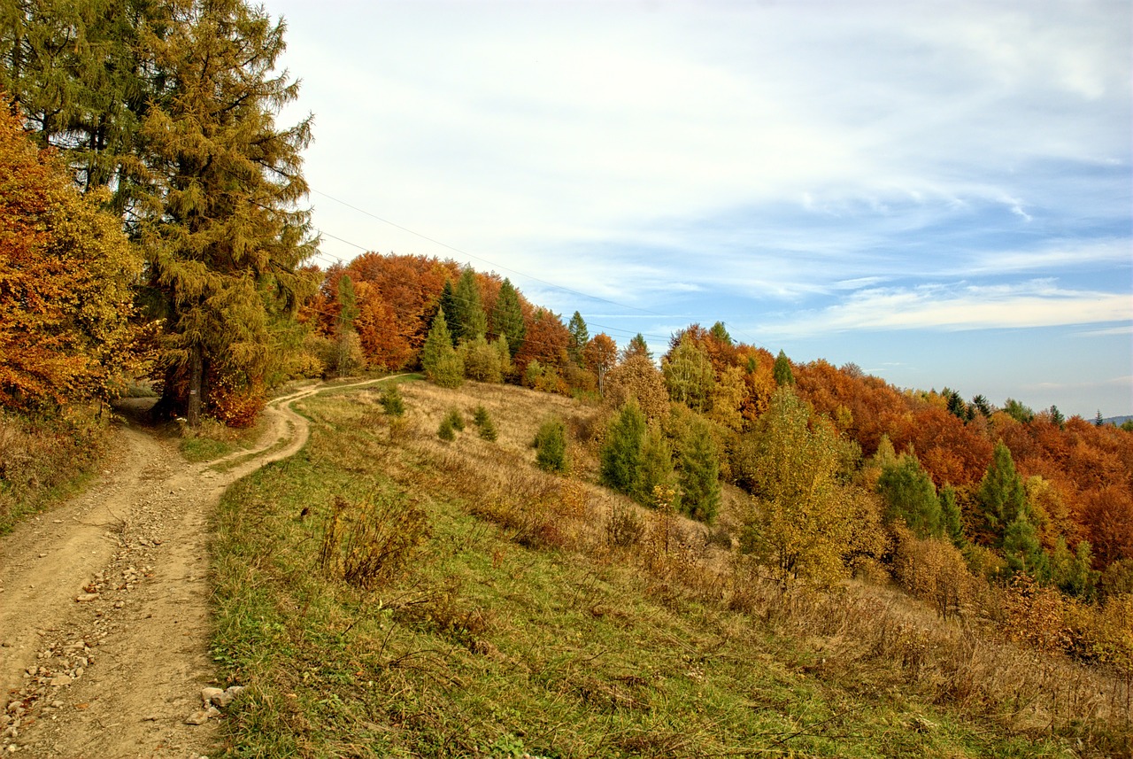 poland pieniny autumn free photo