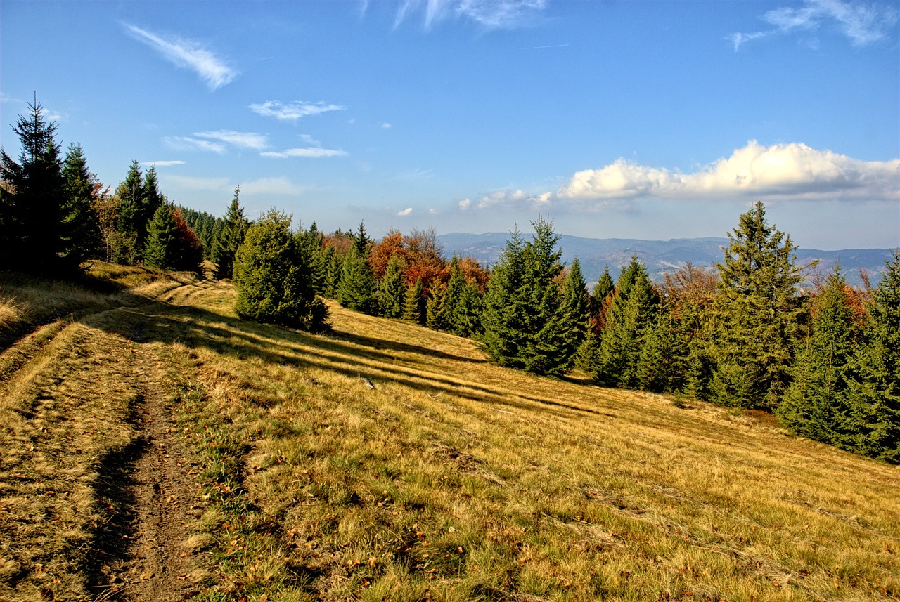 poland pieniny autumn free photo