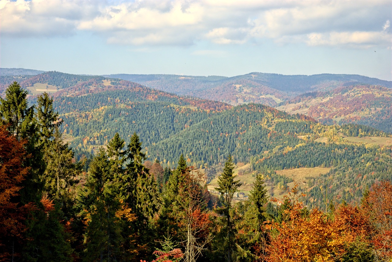 poland pieniny autumn free photo