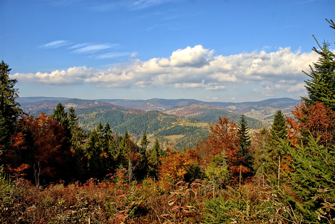 poland pieniny autumn free photo