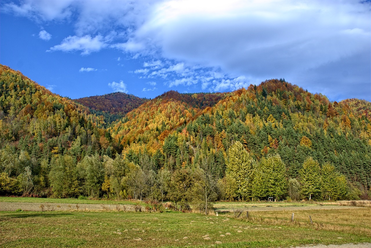 poland pieniny autumn free photo