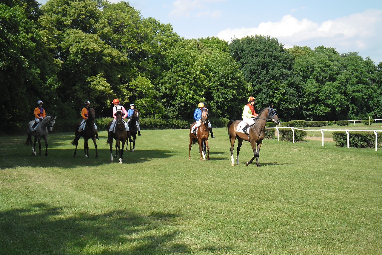 poland horses race free photo