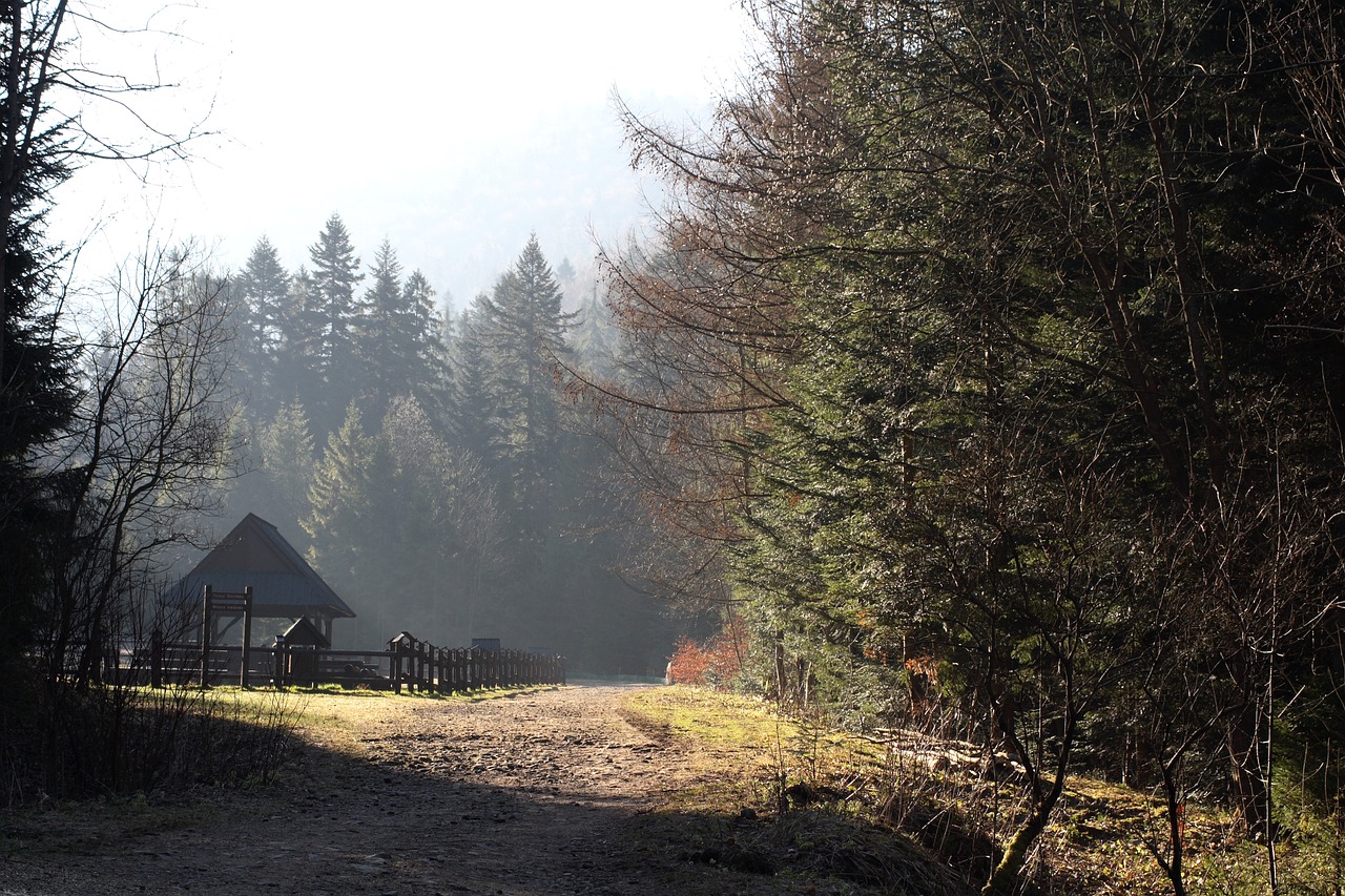 poland nature mountains free photo