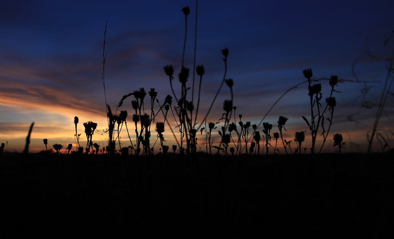 poland clouds sunset free photo