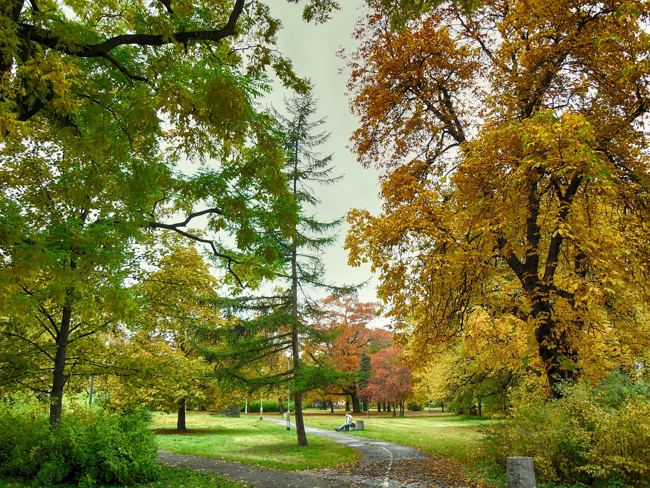 poland park autumn fall free photo