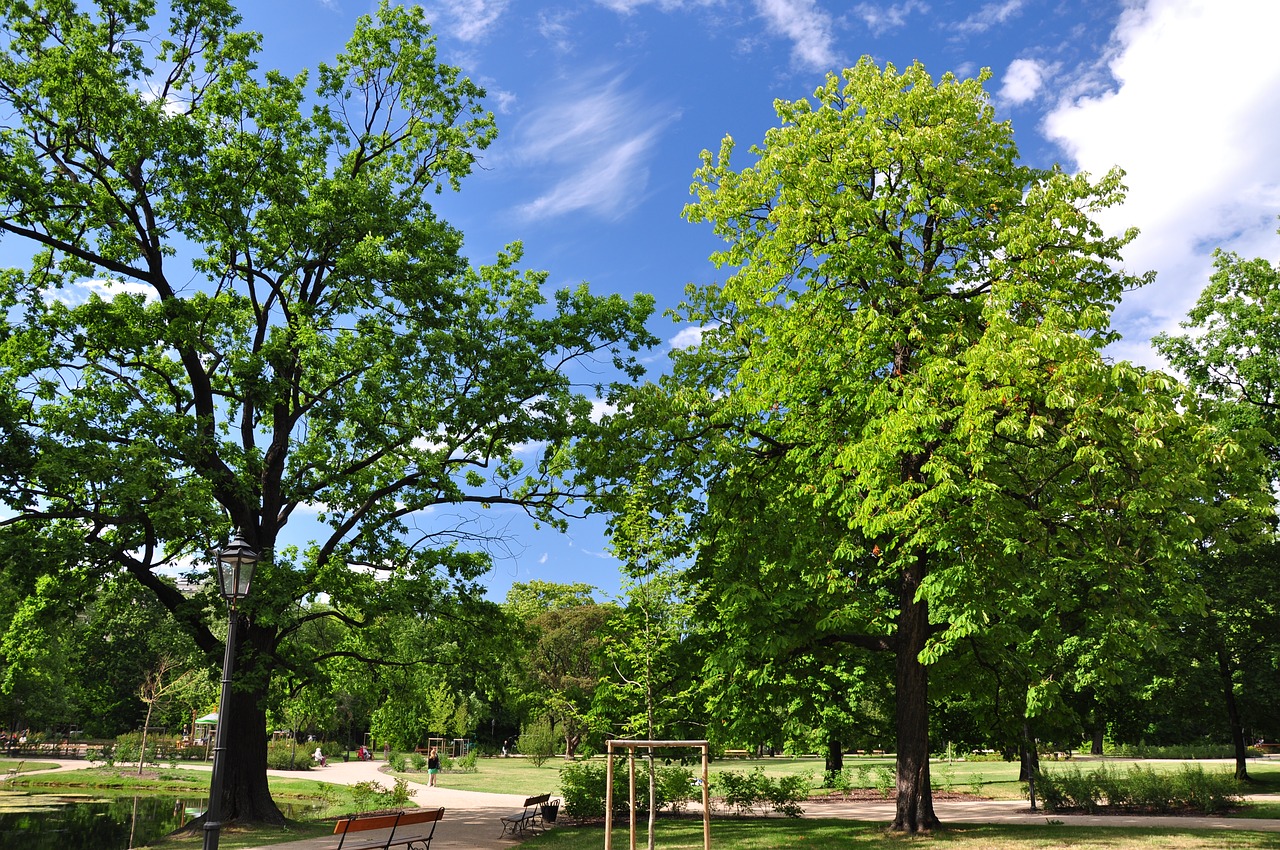 poland warsaw garden krasinski free photo