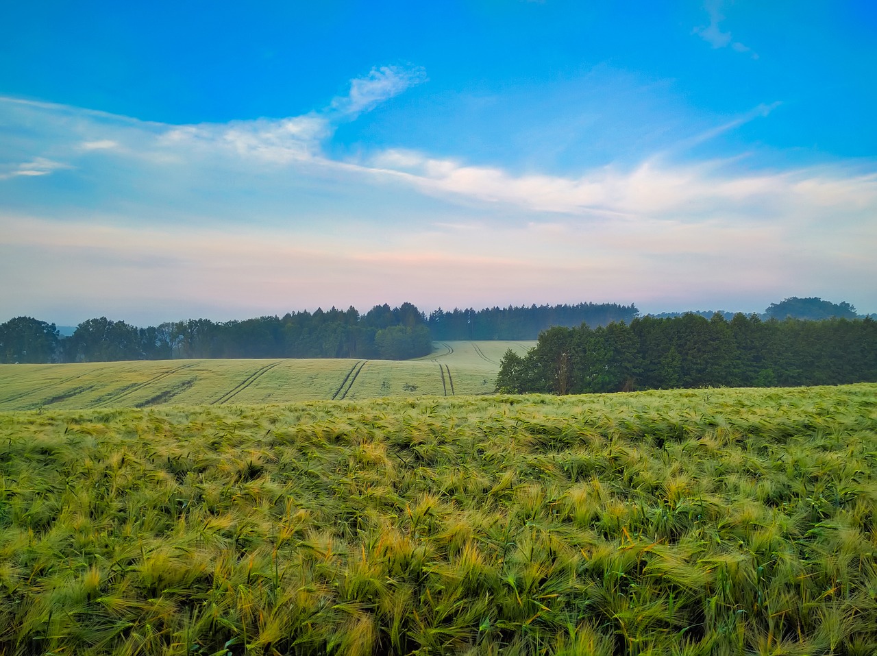 poland farm field free photo