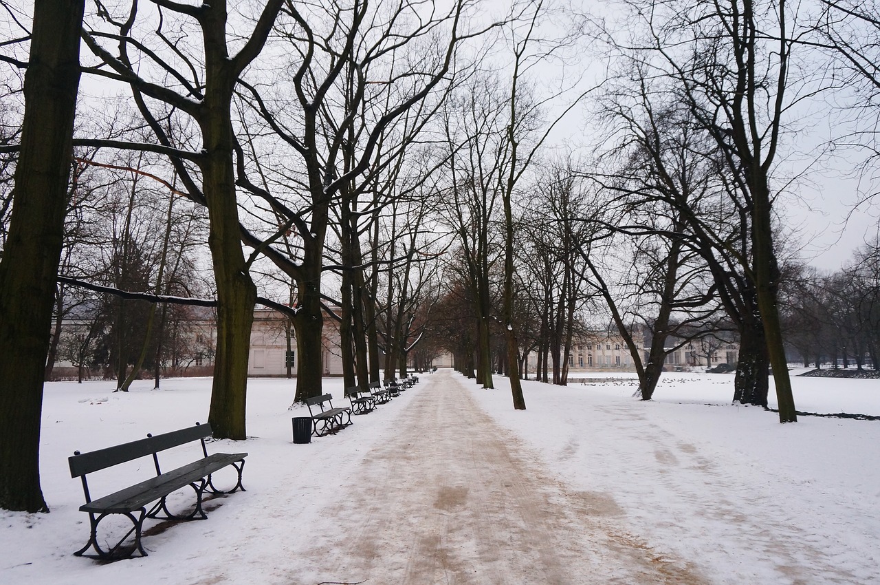 poland winter warsaw free photo