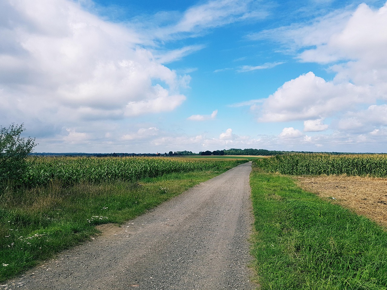 poland landscape farmland free photo