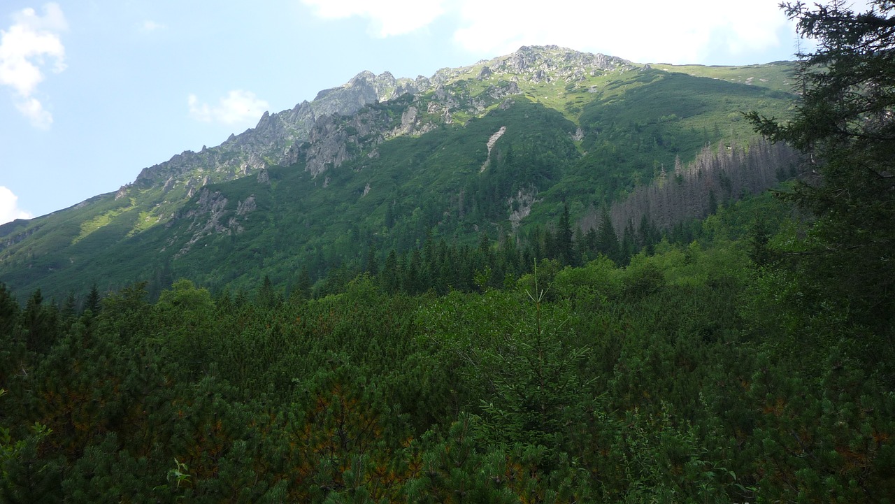 poland  tatry  mountains free photo