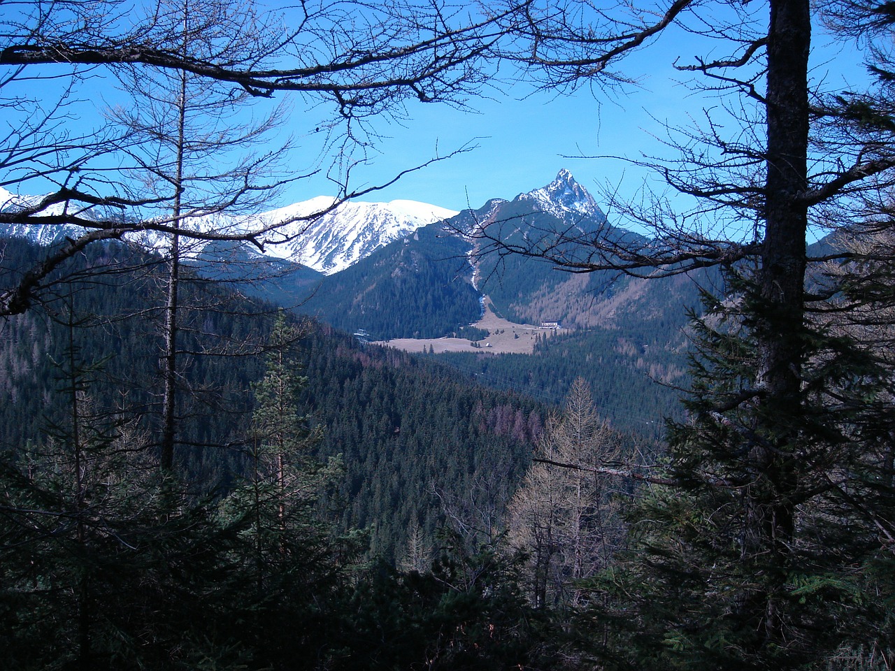 poland tatry murowaniec masovian voivodeship free photo