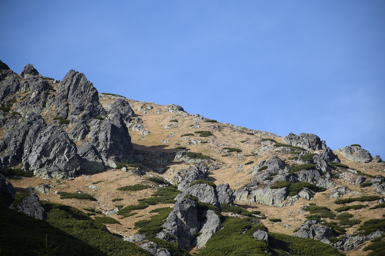 poland  mountain  tatra mountains free photo