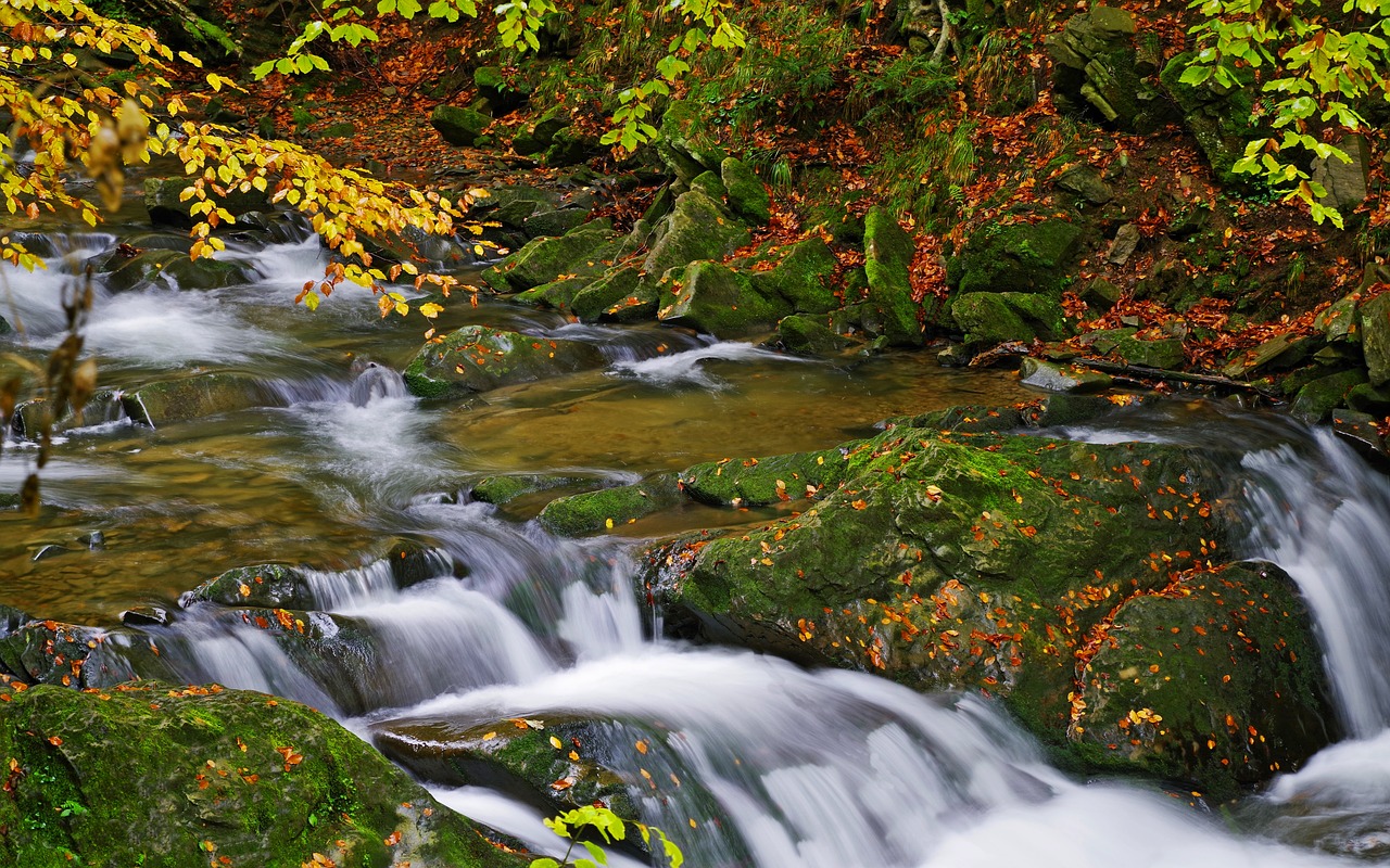 poland  bieszczady  stream hylaty free photo