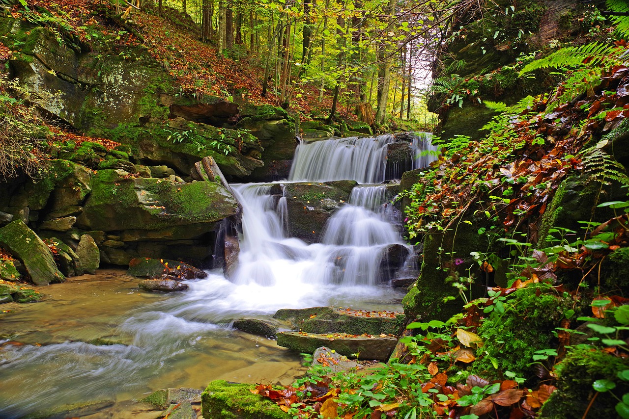 poland  bieszczady  nature free photo