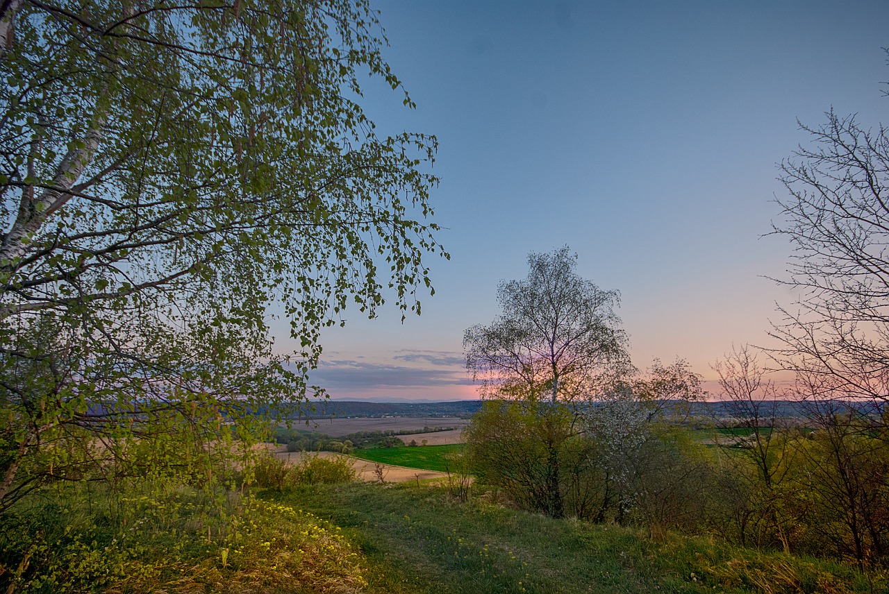 poland  spacer  sky free photo