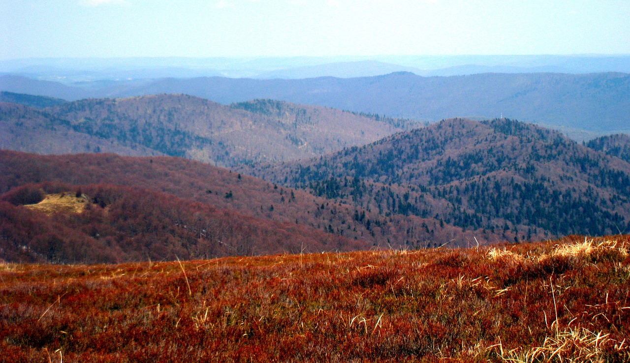 poland bieszczady spring free photo