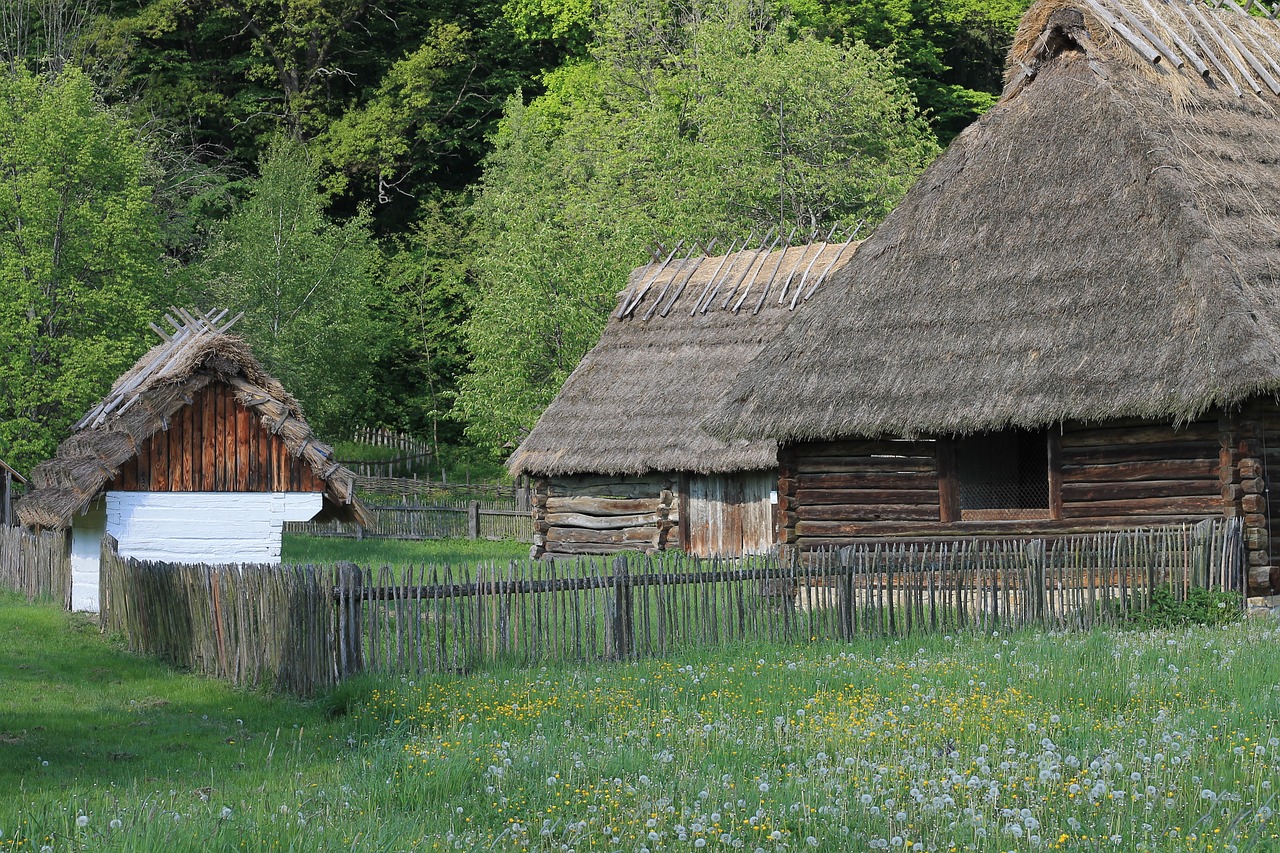 poland open air museum village free photo