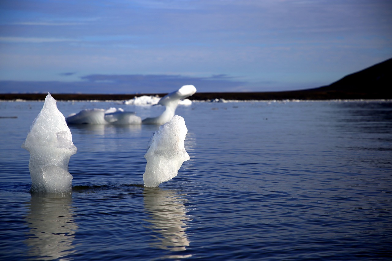 polar  arctic  cold free photo