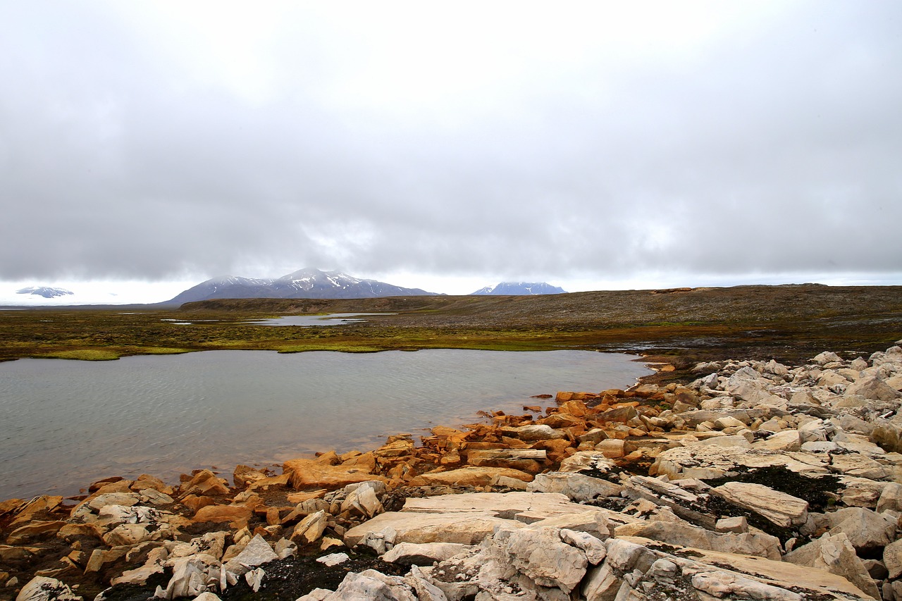 polar  arctic  camp free photo