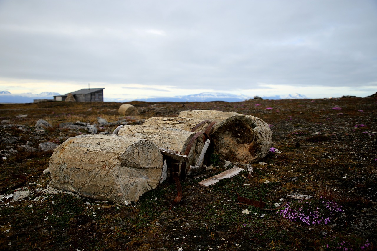 polar  arctic  camp free photo