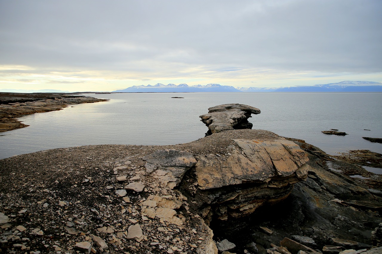 polar  arctic  camp free photo