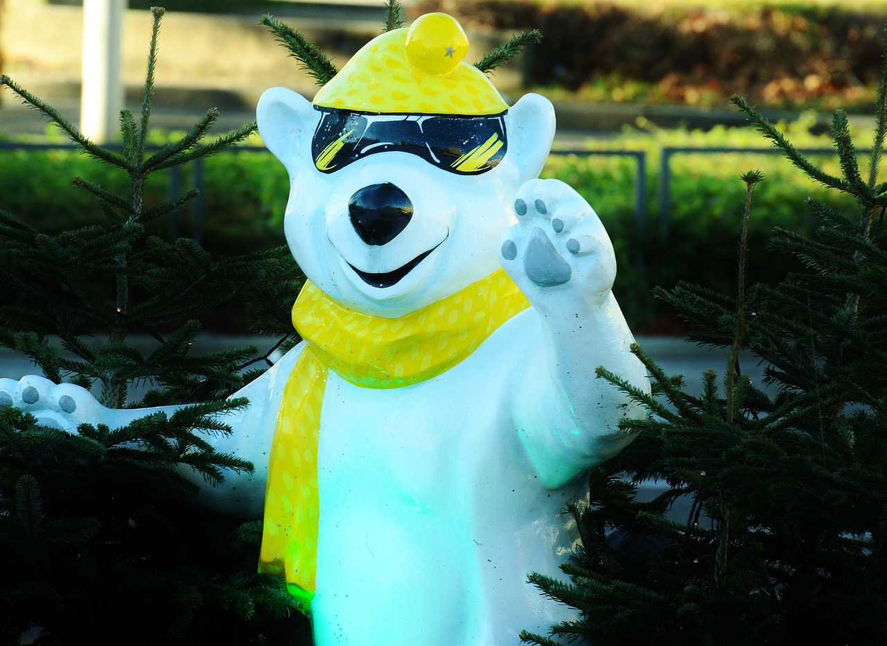 polar bear cool bright free photo